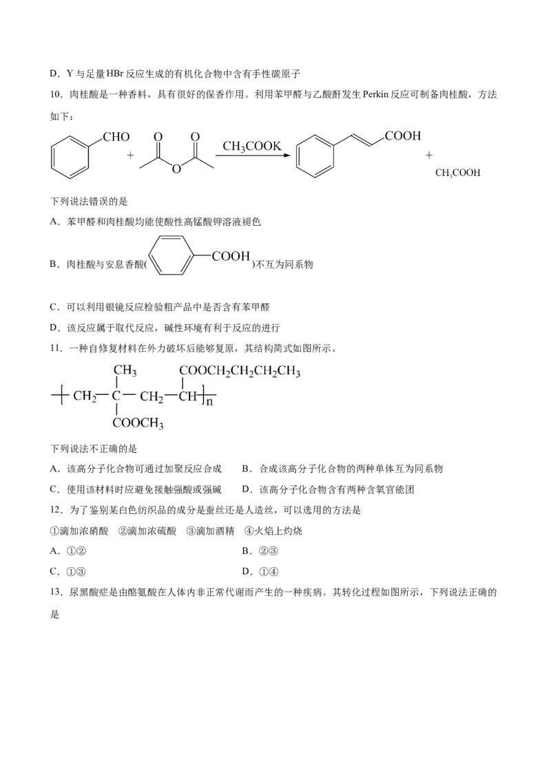 专题突破卷11有机化学基础（二）-2024年高考化学一轮复习考点通关卷（新教材新高考）（原卷版）_05高考化学_2024年新高考资料_1.2024一轮复习