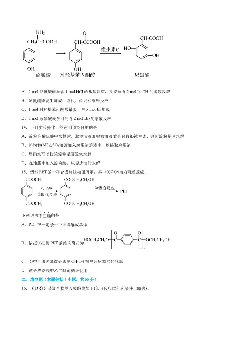 专题突破卷11有机化学基础（二）-2024年高考化学一轮复习考点通关卷（新教材新高考）（原卷版）_05高考化学_2024年新高考资料_1.2024一轮复习