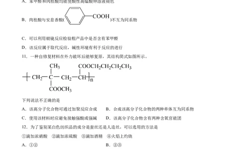 专题突破卷11有机化学基础（二）-2024年高考化学一轮复习考点通关卷（新教材新高考）（原卷版）_05高考化学_2024年新高考资料_1.2024一轮复习