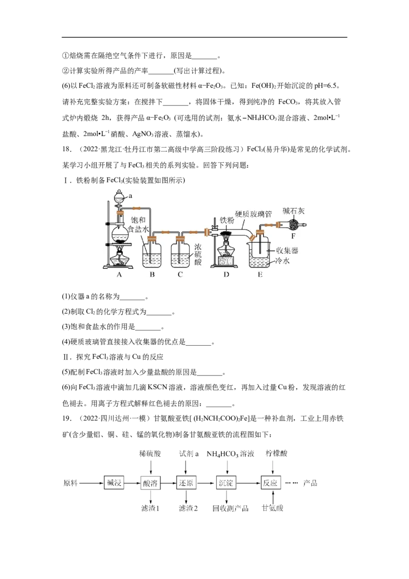 易错点06铁及其化合物-备战2023年高考化学考试易错题（解析版）_05高考化学_通用版（老高考）复习资料_2023年复习资料_专项复习_备战2023年高考化学考试易错题（全国通用）