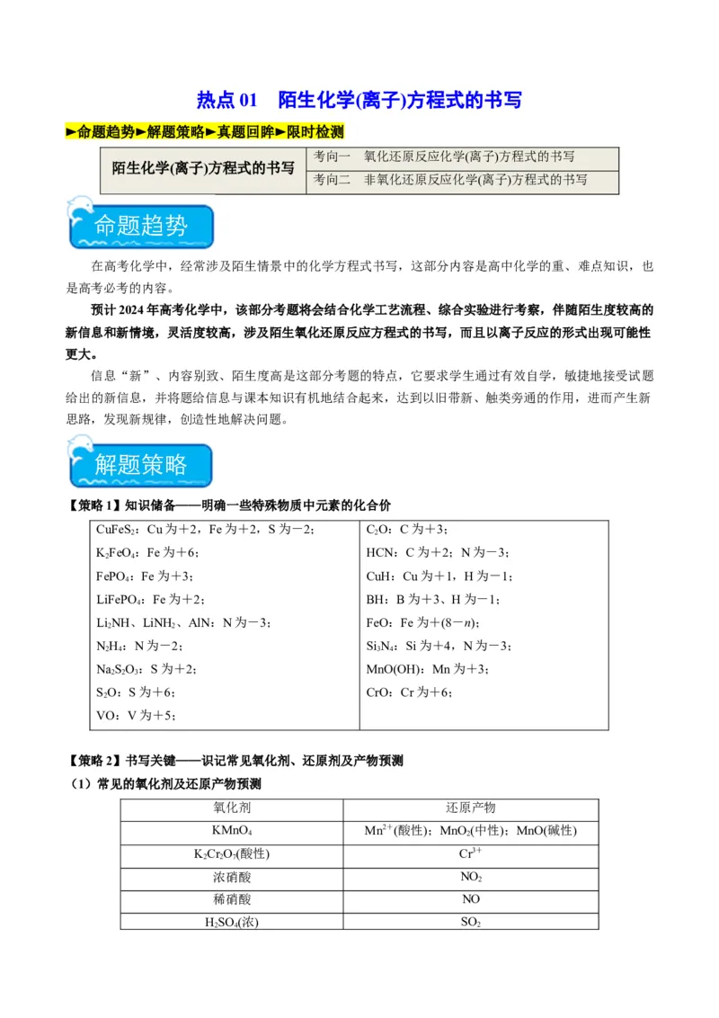 热点01陌生化学(离子)方程式的书写-2024年高考化学热点&middot;重点&middot;难点专练（新高考专用）（解析版）_05高考化学_2024年新高考资料_3.2024专项复习