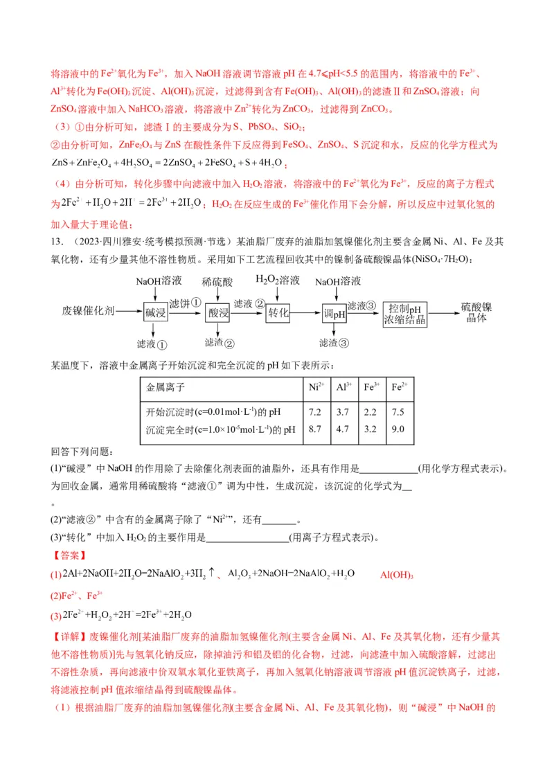 热点01陌生化学(离子)方程式的书写-2024年高考化学热点&middot;重点&middot;难点专练（新高考专用）（解析版）_05高考化学_2024年新高考资料_3.2024专项复习