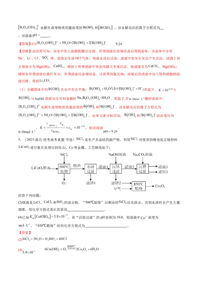 热点01陌生化学(离子)方程式的书写-2024年高考化学热点&middot;重点&middot;难点专练（新高考专用）（解析版）_05高考化学_2024年新高考资料_3.2024专项复习