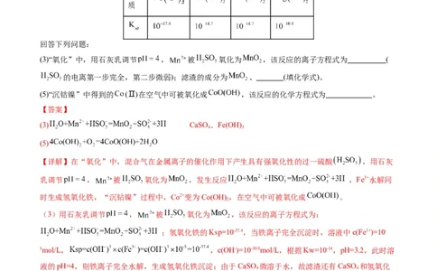 热点01陌生化学(离子)方程式的书写-2024年高考化学热点&middot;重点&middot;难点专练（新高考专用）（解析版）_05高考化学_2024年新高考资料_3.2024专项复习