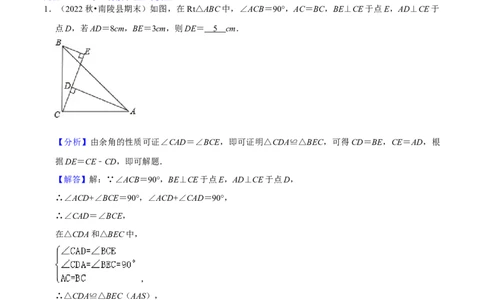 猜想02全等三角形（5种解题模型专练）（解析版）_初中数学人教版_8上-初中数学人教版_旧版_06习题试卷_6期中期末复习专题