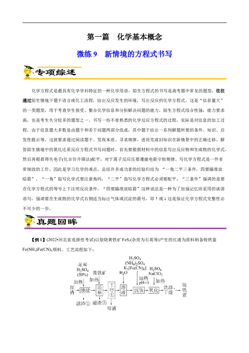 微练9新情境的方程式书写（原卷版）_05高考化学_新高考复习资料_2023年新高考资料_专项复习_2023年高考化学热点专项导航与精练（新高考专用）