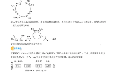 微考点陌生情境下方程式的书写（核心考点精讲精练）-备战2025年高考化学一轮复习考点帮（新高考通用）（原卷版）_05高考化学_2025年新高考资料_一轮复习