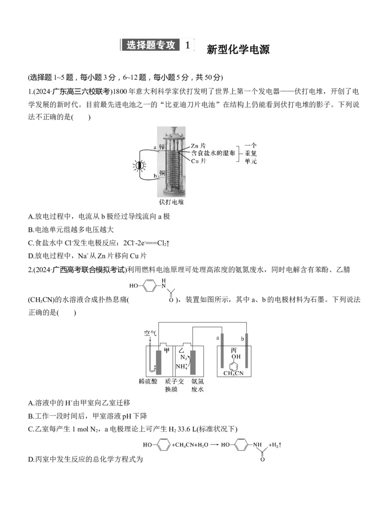 专题四　选择题专攻1　新型化学电源淘宝店：红太阳资料库_05高考化学_2025年新高考资料_二轮复习_2025年高考化学大二轮_2025化学二轮复习_题型突破练+考前特训_专题四　电化学