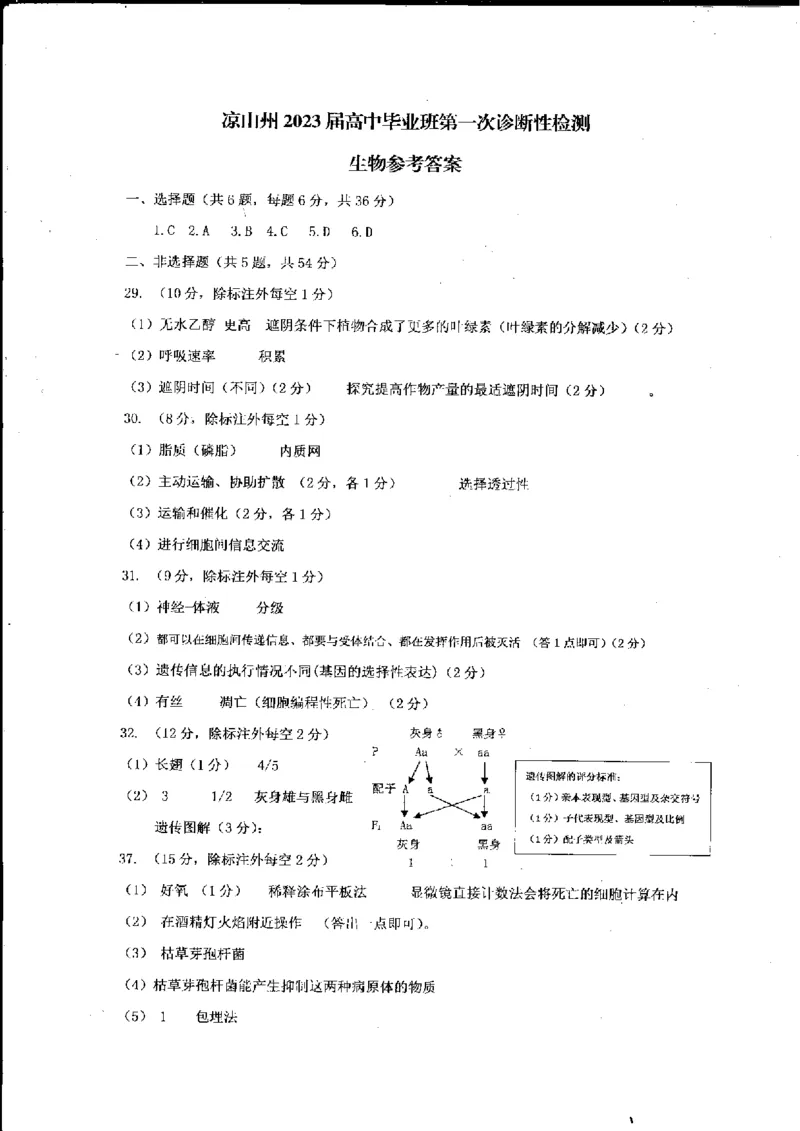 理综答案_05高考化学_高考模拟题_全国课标版_2023届四川省凉山州高中毕业班第一次诊断性检测理综_2023届四川省凉山州高中毕业班第一次诊断性检测理综