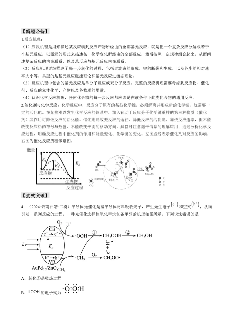 易错专题10反应机理-2024年高考化学考前易错聚焦（解析版）_05高考化学_2024年新高考资料_5.2024三轮冲刺_2024年高考化学考前易错聚焦