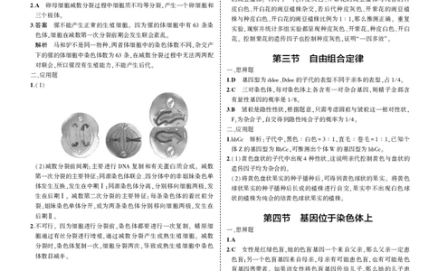 必修2苏教生物教材习题答案_高中全套电子教材及答案。_02高中教材参考答案_高中生物_苏教版