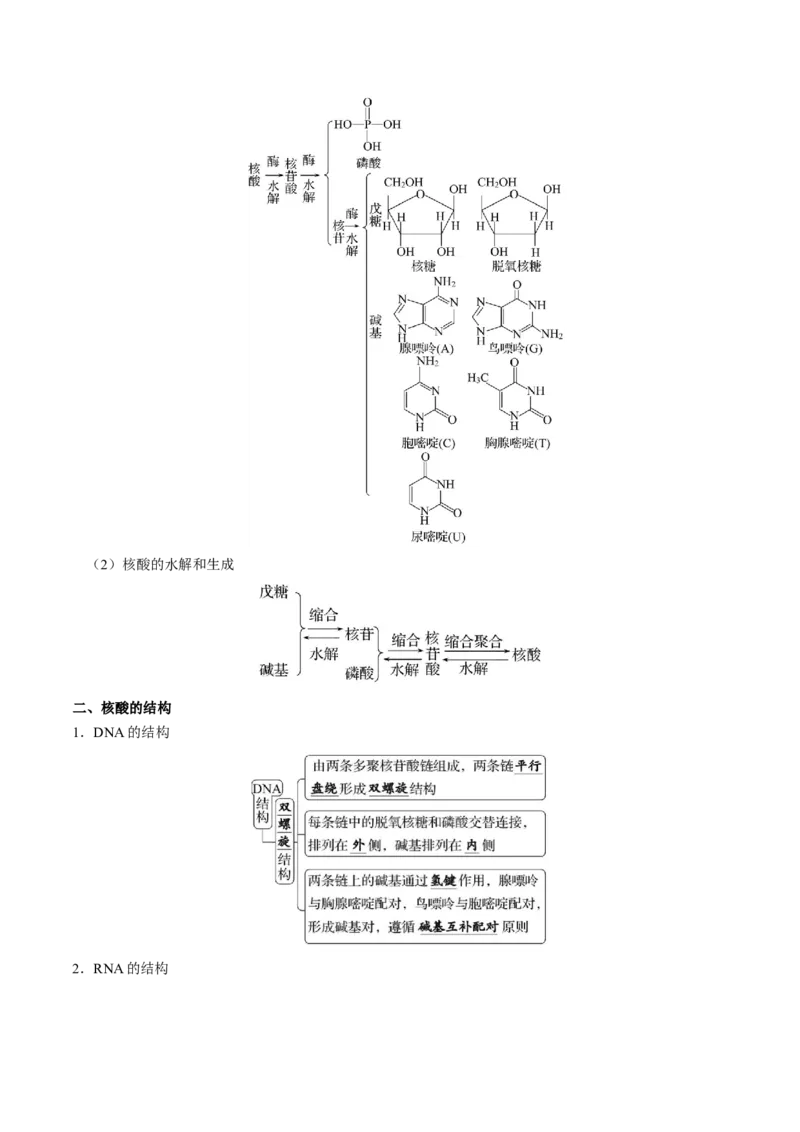 知识清单30+营养物质+有机合成与推断-口袋书2024年高考化学一轮复习知识清单_05高考化学_2024年新高考资料_1.2024一轮复习_2024年高考化学一轮复习知识清单