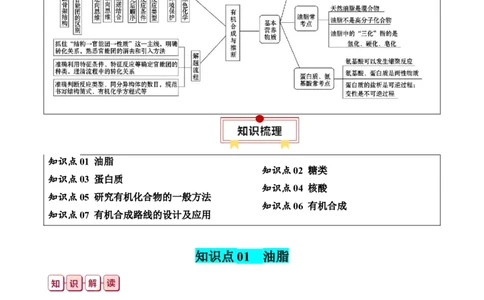 知识清单30+营养物质+有机合成与推断-口袋书2024年高考化学一轮复习知识清单_05高考化学_2024年新高考资料_1.2024一轮复习_2024年高考化学一轮复习知识清单