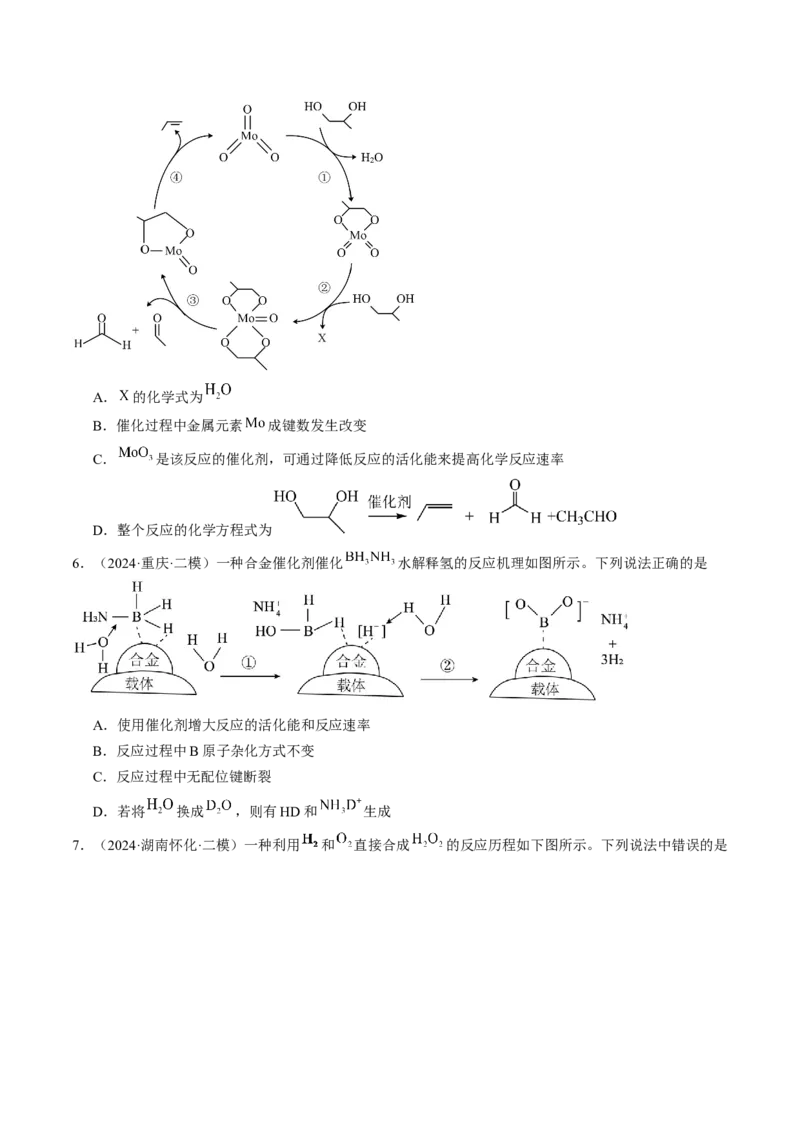 易错专题10反应机理-2024年高考化学考前易错聚焦（原卷版）_05高考化学_2024年新高考资料_5.2024三轮冲刺_2024年高考化学考前易错聚焦