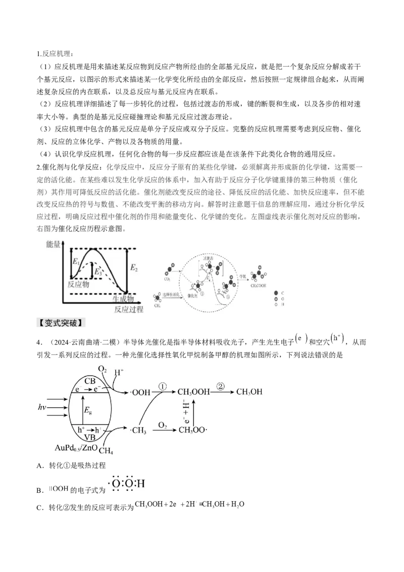 易错专题10反应机理-2024年高考化学考前易错聚焦（原卷版）_05高考化学_2024年新高考资料_5.2024三轮冲刺_2024年高考化学考前易错聚焦