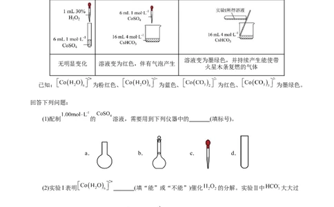 模板02物质性质和化学反应探究实验(解析版)_05高考化学_2025年新高考资料_二轮复习_2025年高考化学答题技巧与模板构建338868722_第二部分主观题突破_化学综合实验