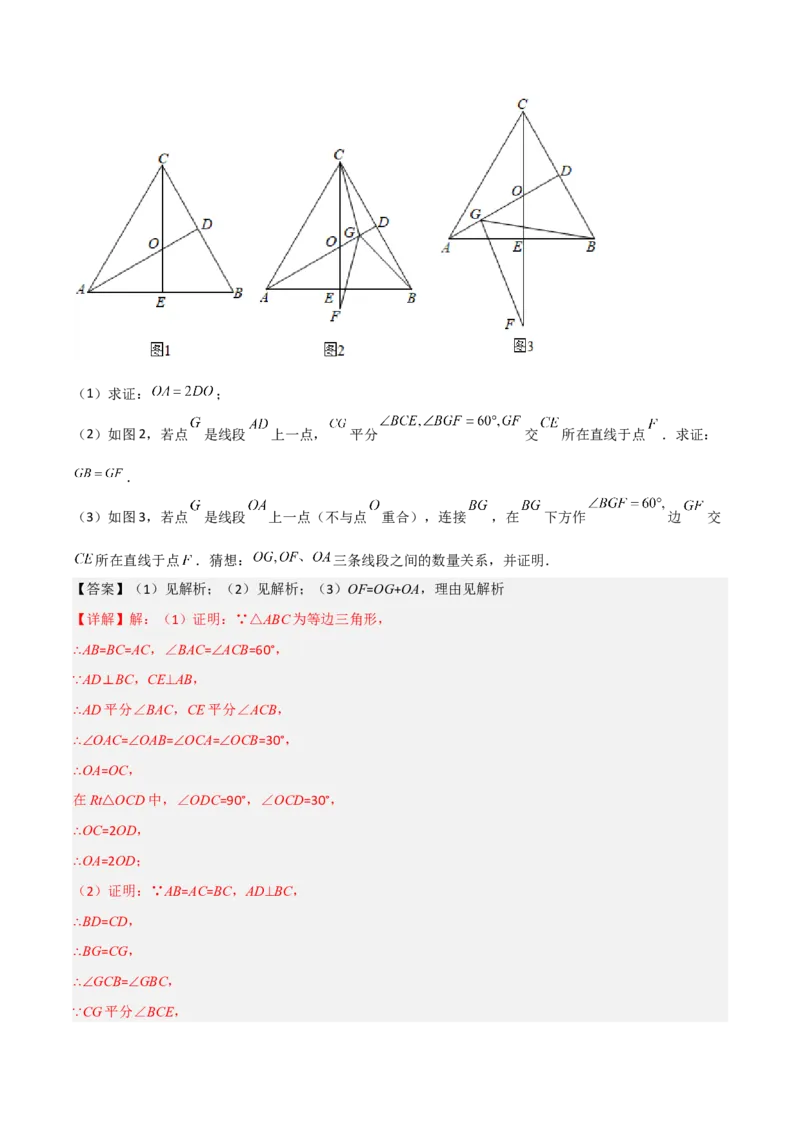 期中考试压轴题考点训练（一）（解析版）_初中数学人教版_8上-初中数学人教版_旧版_06习题试卷_3期中试卷