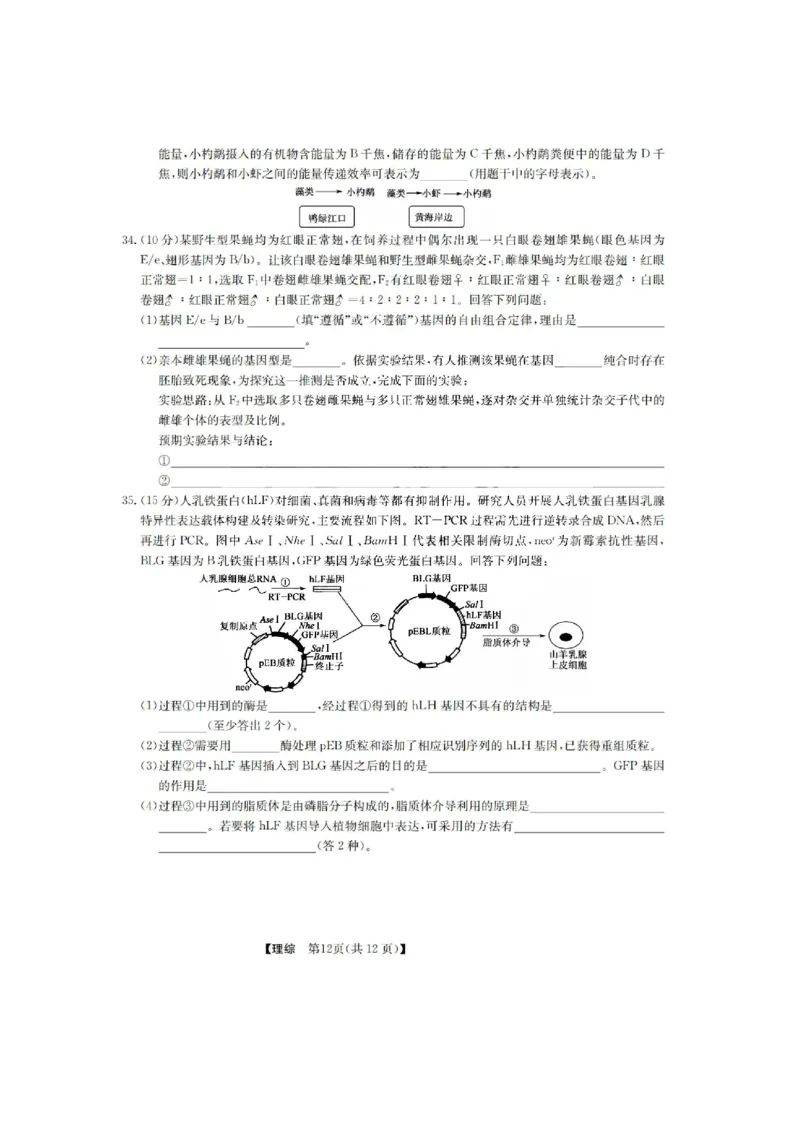山西九师2023届高三1月第一次联考理综试题_05高考化学_高考模拟题_全国课标版_山西九师联盟2022-2023学年高三上学期1月第一次联考理综