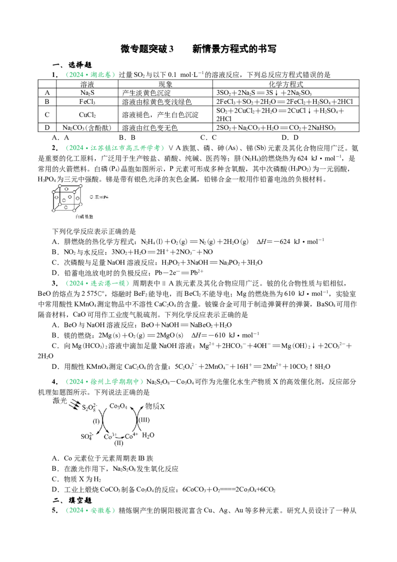 微专题突破03新情境方程式的书写（作业一）（学生版）_05高考化学_2025年新高考资料_二轮复习_2025年高考化学二轮复习重点微专题突破学案（新高考专用）3419182