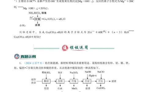 模板02工艺流程中陌生方程式的书写(解析版)_05高考化学_2025年新高考资料_二轮复习_2025年高考化学答题技巧与模板构建338868722_第二部分主观题突破_化学工艺流程