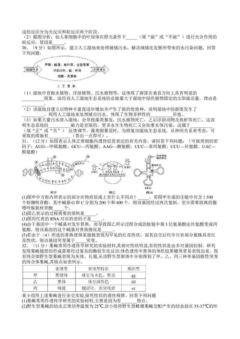 四川省泸县第四中学2022-2023学年高三上学期期末考试理综试题_05高考化学_高考模拟题_全国课标版