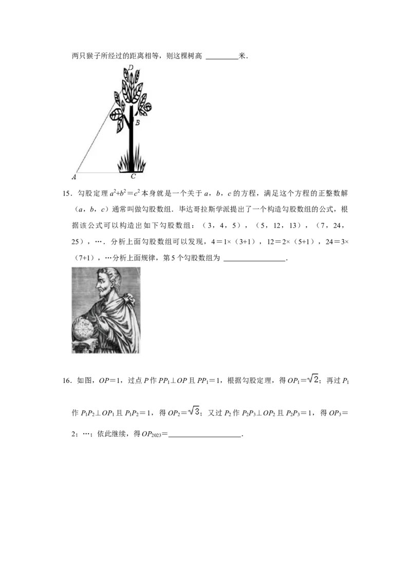 第十七章勾股定理单元达标测试卷（考试版）_初中数学人教版_八年级数学下册_保存转存之后查看(1)_8下-初中数学人教版（2026春新版持续更新）_旧版-可参考_07专项讲练