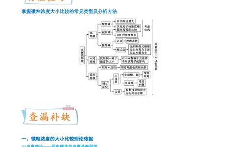 升级版微专题41水溶液中的三大守恒和浓度大小比较-备战2024年高考化学考点微专题（解析版）(全国版)_05高考化学_新高考复习资料_2024年新高考资料_一轮复习资料