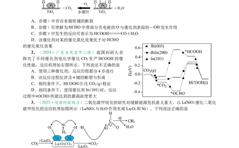 微专题突破16归因类问题考点透视（作业一）（学生版）_05高考化学_2025年新高考资料_二轮复习_01高考语文等多个文件_2025年高考化学二轮复习重点微专题突破学案（新高考专用）