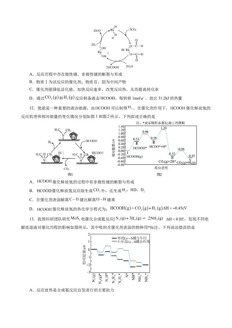 模板02化学反应机理图像分析(原卷版)_05高考化学_2025年新高考资料_二轮复习_2025年高考化学答题技巧与模板构建338868722_第一部分选择题突破