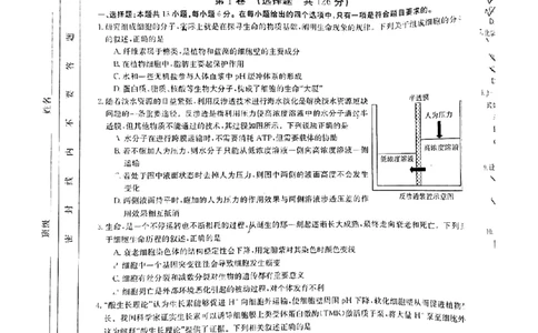 广西梧州市2023年3月高三模拟考试（梧州二模）理综试题公众号：一枚试卷君_05高考化学_高考模拟题_新高考_广西梧州市2023年3月高三模拟考试（梧州二模）23-281C理综