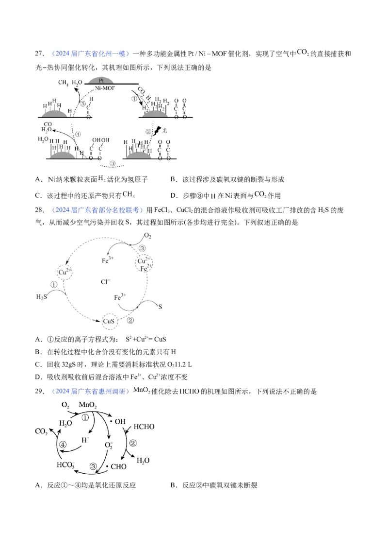 押广东卷第11题&nbsp;阿伏加德罗常数&nbsp;化学反应机理图（原卷版）_05高考化学_2024年新高考资料_5.2024三轮冲刺_备战2024年高考化学临考题号押题（广东卷）323301515