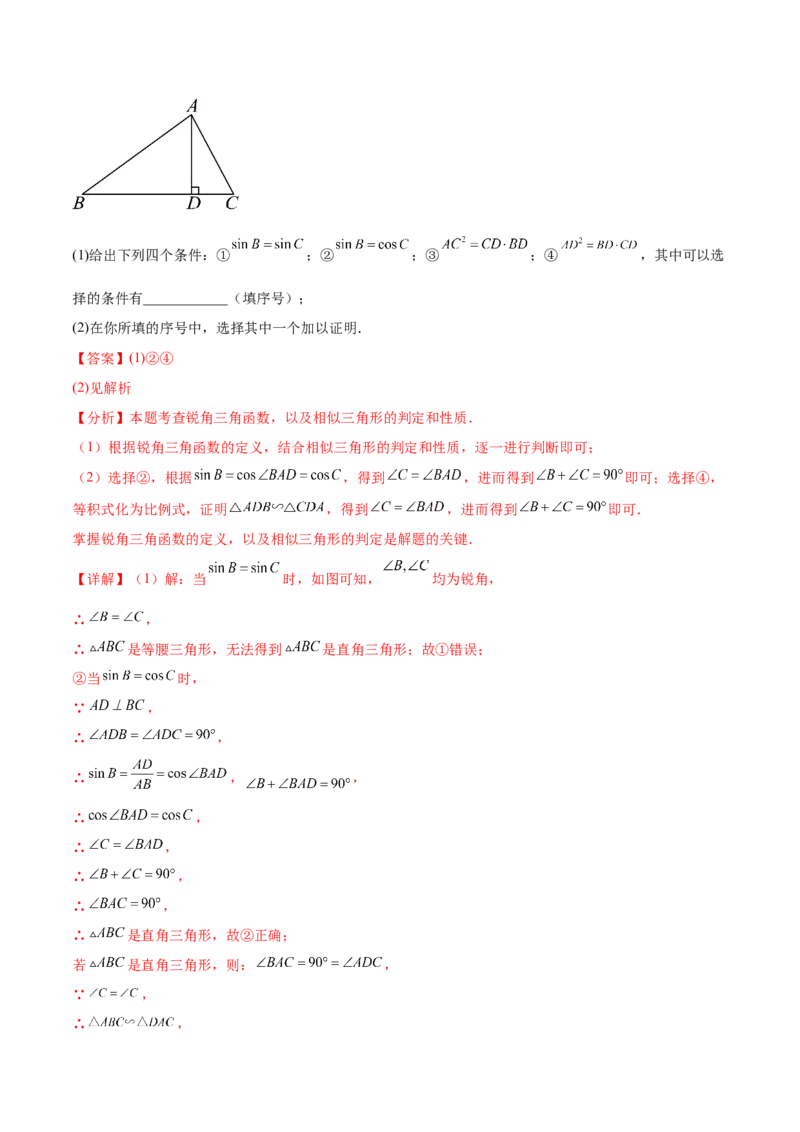热点专题08锐角三角函数（10个热点）（解析版）_初中数学人教版_9下-初中数学人教版_07专项讲练_2023-2024学年九年级数学全册重难热点提升精讲与过关测试（人教版）