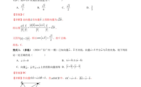 通关秘籍02平面向量（易错题+三大题型）（解析版）-备战2024年高考数学抢分秘籍（新高考专用）_2.2025数学总复习_2024年新高考资料_5.2024三轮冲刺
