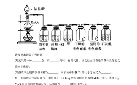 微专题19氯及其化合物的制备与性质探究-备战2022年高考化学考点微专题（原卷版）_05高考化学_新高考复习资料_2022年新高考资料_备战2022年高考化学考点微专题