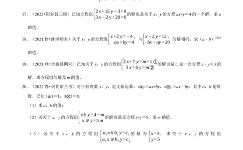 专题8.6二元一次方程组与字母参数问题大题专练（重难点培优30题，七下人教）-拔尖特训2023培优（原卷版）人教版_初中数学人教版_7下-初中数学人教版_07专项讲练