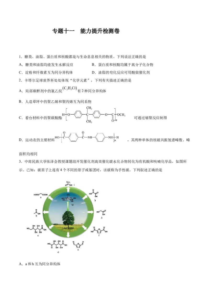 专题十一有机化学基础（能力提升检测卷）-2024年高考化学大一轮复习精讲精练+专题讲座（原卷版）_05高考化学_2024年新高考资料_1.2024一轮复习