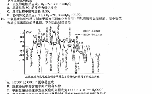 潍坊期末考-化学试题_05高考化学_高考模拟题_新高考_2023届山东省潍坊高三期末联考化学_2023届山东省潍坊高三期末联考化学