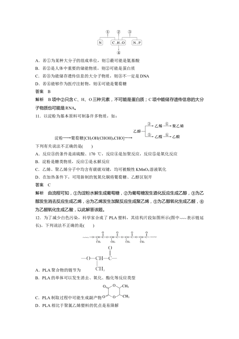 大单元五　第十四章　第66讲　生物大分子　合成高分子_05高考化学_2025年新高考资料_一轮复习_2025大一轮复习讲义+课件（完结）_2025大一轮复习讲义化学教师用书Word版文档全书