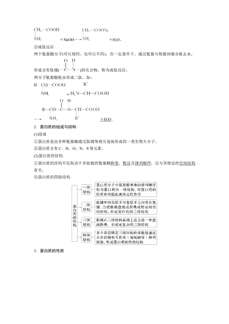 大单元五　第十四章　第66讲　生物大分子　合成高分子_05高考化学_2025年新高考资料_一轮复习_2025大一轮复习讲义+课件（完结）_2025大一轮复习讲义化学教师用书Word版文档全书