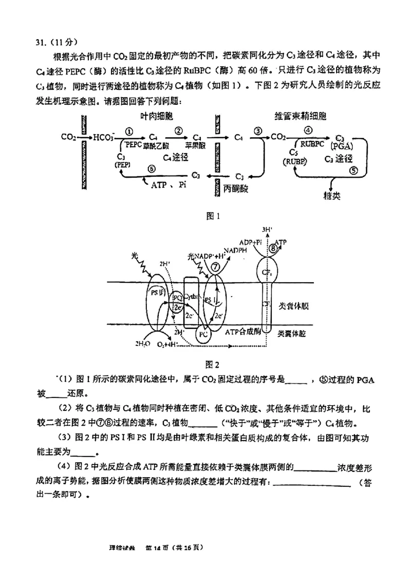 理科综合试题_05高考化学_高考模拟题_全国课标版_2023届安徽六安市省示范高中高三教学质量检测理综_2023届安徽六安市省示范高中高三教学质量检测理综