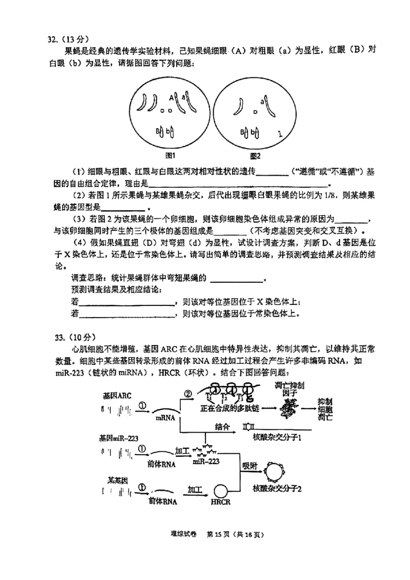 理科综合试题_05高考化学_高考模拟题_全国课标版_2023届安徽六安市省示范高中高三教学质量检测理综_2023届安徽六安市省示范高中高三教学质量检测理综