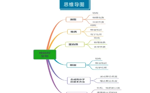 知识清单28生物大分子、合成高分子（原卷版）_05高考化学_2025年新高考资料_一轮复习_上好课2025年高考化学一轮复习知识清单3246985