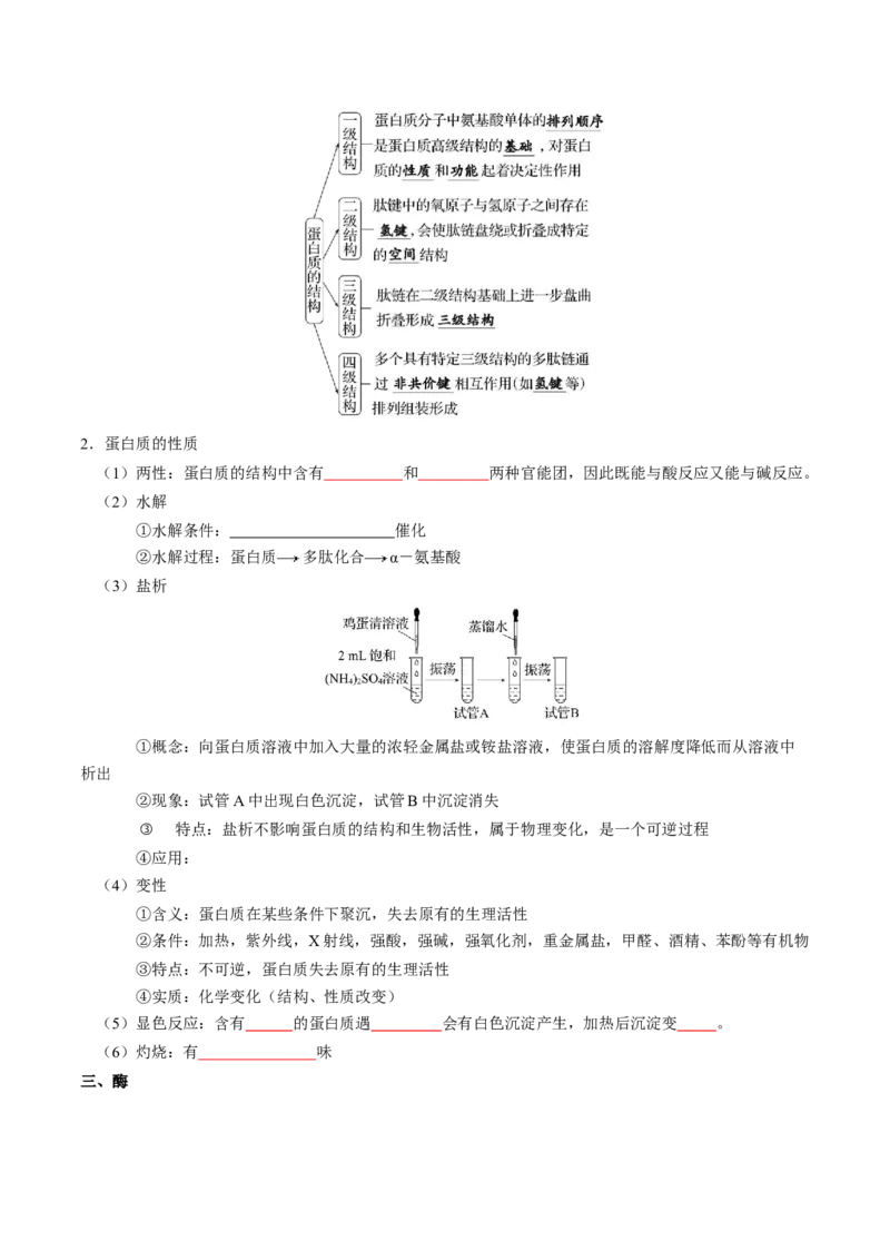 知识清单28生物大分子、合成高分子（原卷版）_05高考化学_2025年新高考资料_一轮复习_上好课2025年高考化学一轮复习知识清单3246985