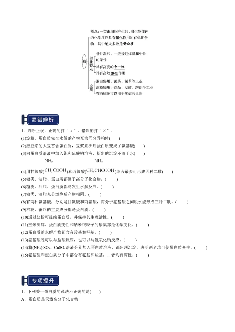 知识清单28生物大分子、合成高分子（原卷版）_05高考化学_2025年新高考资料_一轮复习_上好课2025年高考化学一轮复习知识清单3246985
