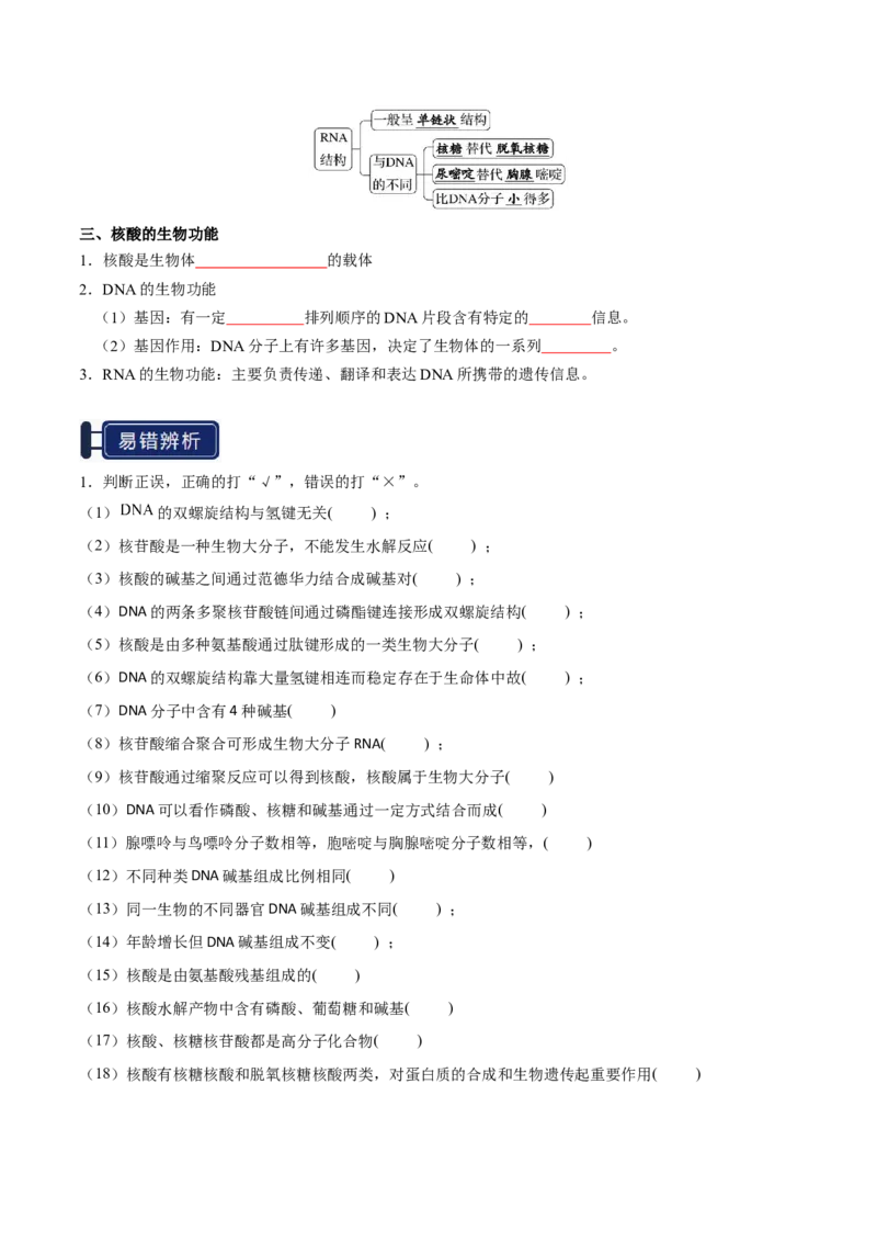 知识清单28生物大分子、合成高分子（原卷版）_05高考化学_2025年新高考资料_一轮复习_上好课2025年高考化学一轮复习知识清单3246985