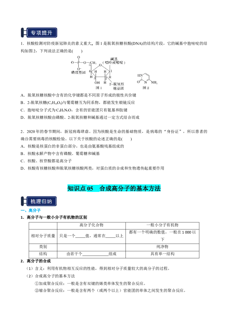 知识清单28生物大分子、合成高分子（原卷版）_05高考化学_2025年新高考资料_一轮复习_上好课2025年高考化学一轮复习知识清单3246985