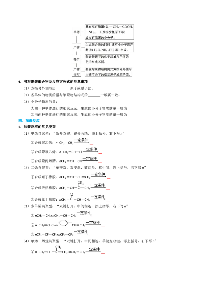 知识清单28生物大分子、合成高分子（原卷版）_05高考化学_2025年新高考资料_一轮复习_上好课2025年高考化学一轮复习知识清单3246985