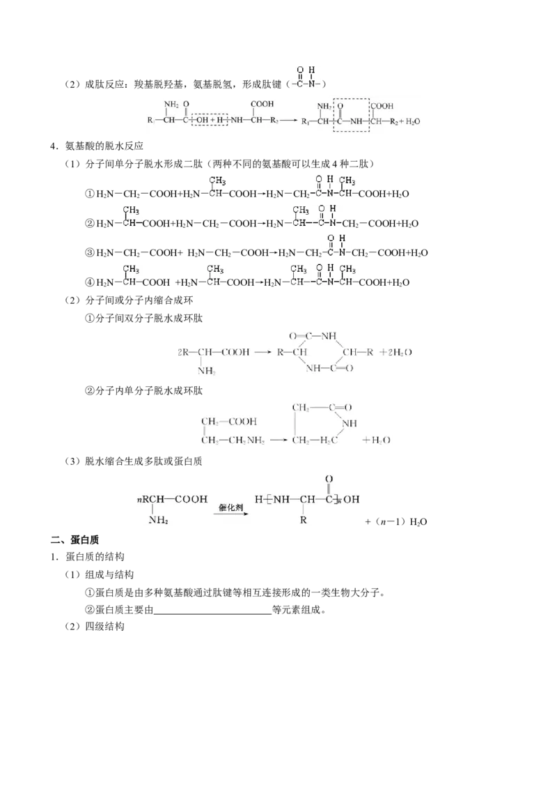 知识清单28生物大分子、合成高分子（原卷版）_05高考化学_2025年新高考资料_一轮复习_上好课2025年高考化学一轮复习知识清单3246985