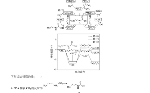 专题五　选择题专攻1　物质能量、能垒变化图像分析淘宝店：红太阳资料库_05高考化学_2025年新高考资料_二轮复习_2025年高考化学大二轮_2025化学二轮复习_大二轮专题复习