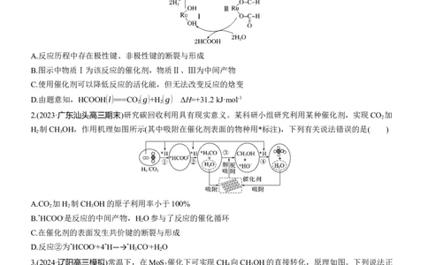 专题五　选择题专攻2　催化机理循环图淘宝店：红太阳资料库_05高考化学_2025年新高考资料_二轮复习_2025年高考化学大二轮_2025化学二轮复习_题型突破练+考前特训